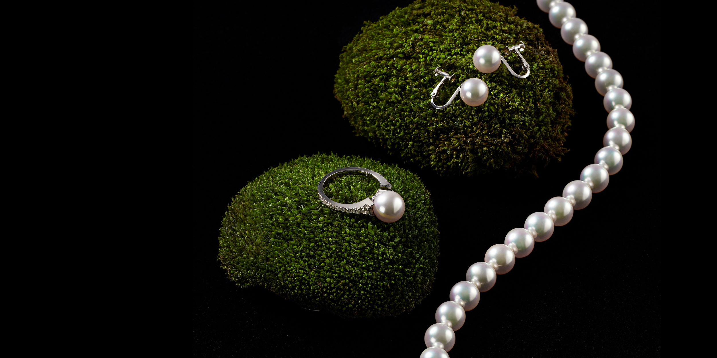 フォーマルイメージ