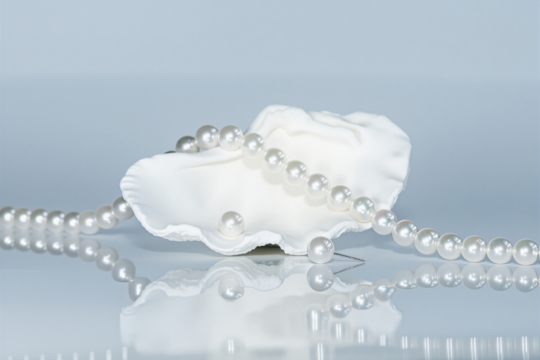 WSPブランドイメージ