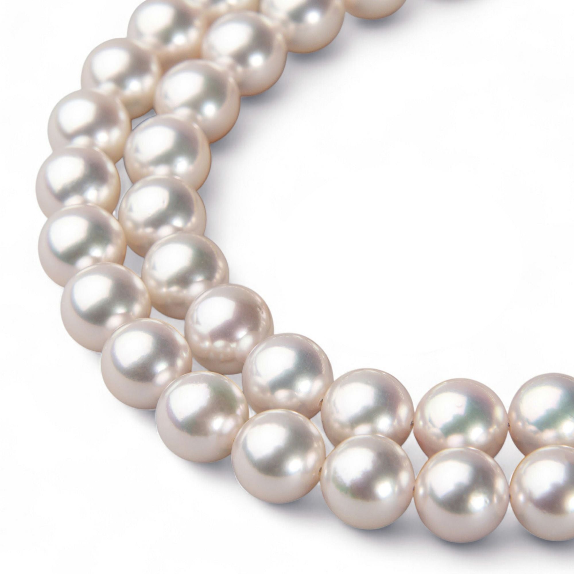 あこや真珠ネックレス サイズ 8.0-9.0mm | WSP（ダブルエスピー）公式