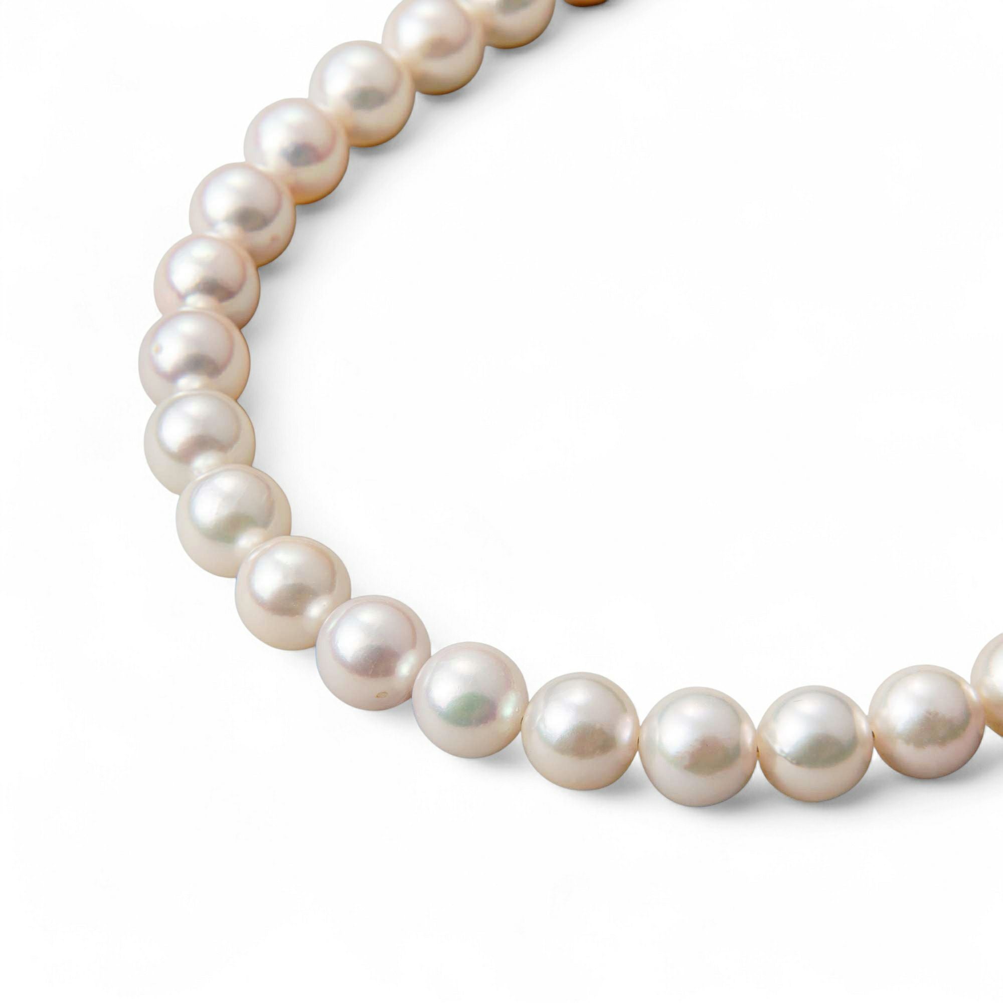 あこや真珠 ロングネックレス8.0-8.5mm 60cm | WSP(ダブルエスピー あこや真珠 ロングネックレス8.0-8.5mm 60cm | WSP(ダブルエスピー
