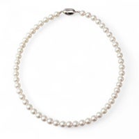 WEB限定】あこや真珠 ネックレス7.5-8.0mm -BASIC- | WSP（ダブル 