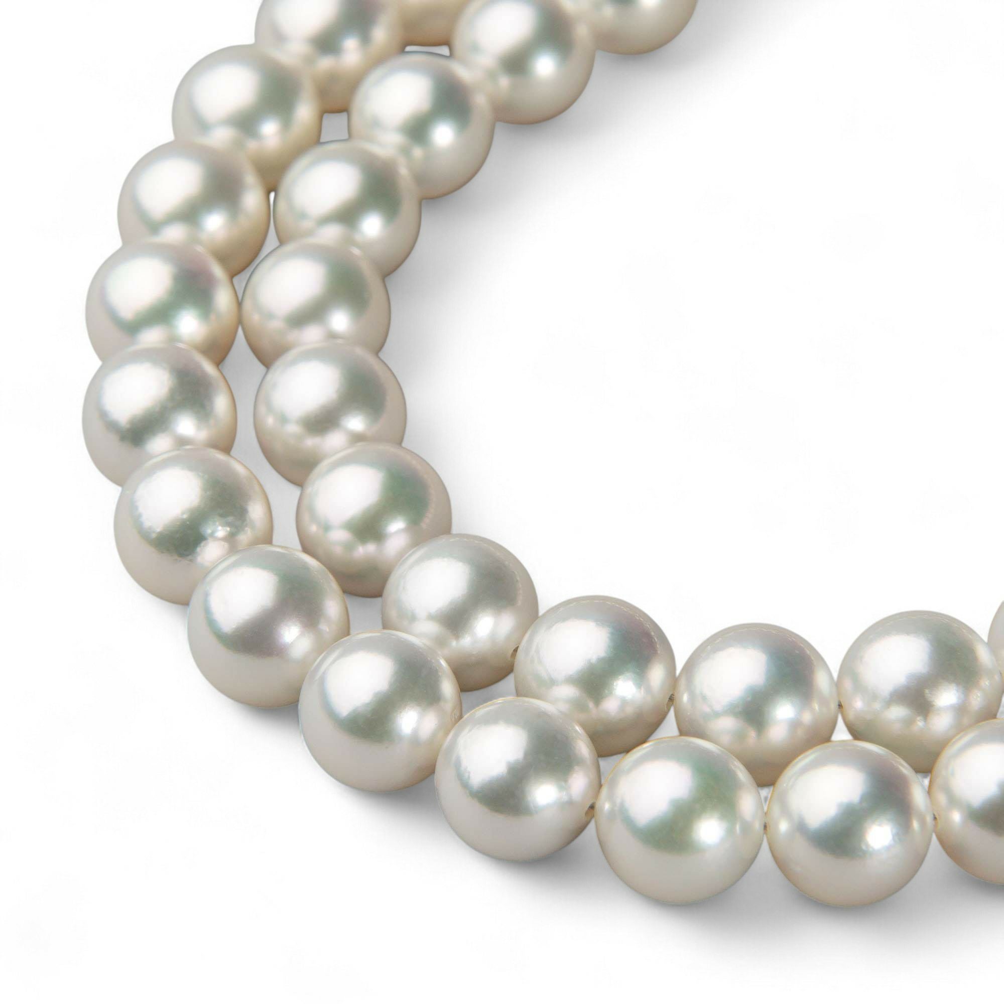 あこや真珠ネックレス サイズ 7.0-8.0mm | WSP（ダブルエスピー）公式