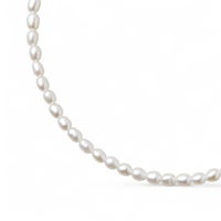 WEB限定】淡水真珠 ネックレス 3.5-4.0mm ライス | WSP（ダブル 