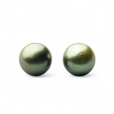 Pistachio タヒチ黒蝶真珠 ピアス11mmUP K14WG