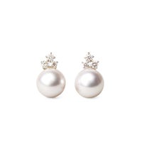 オーロラ花珠真珠 ピアス8.0-8.5mm K18WG -Premium-