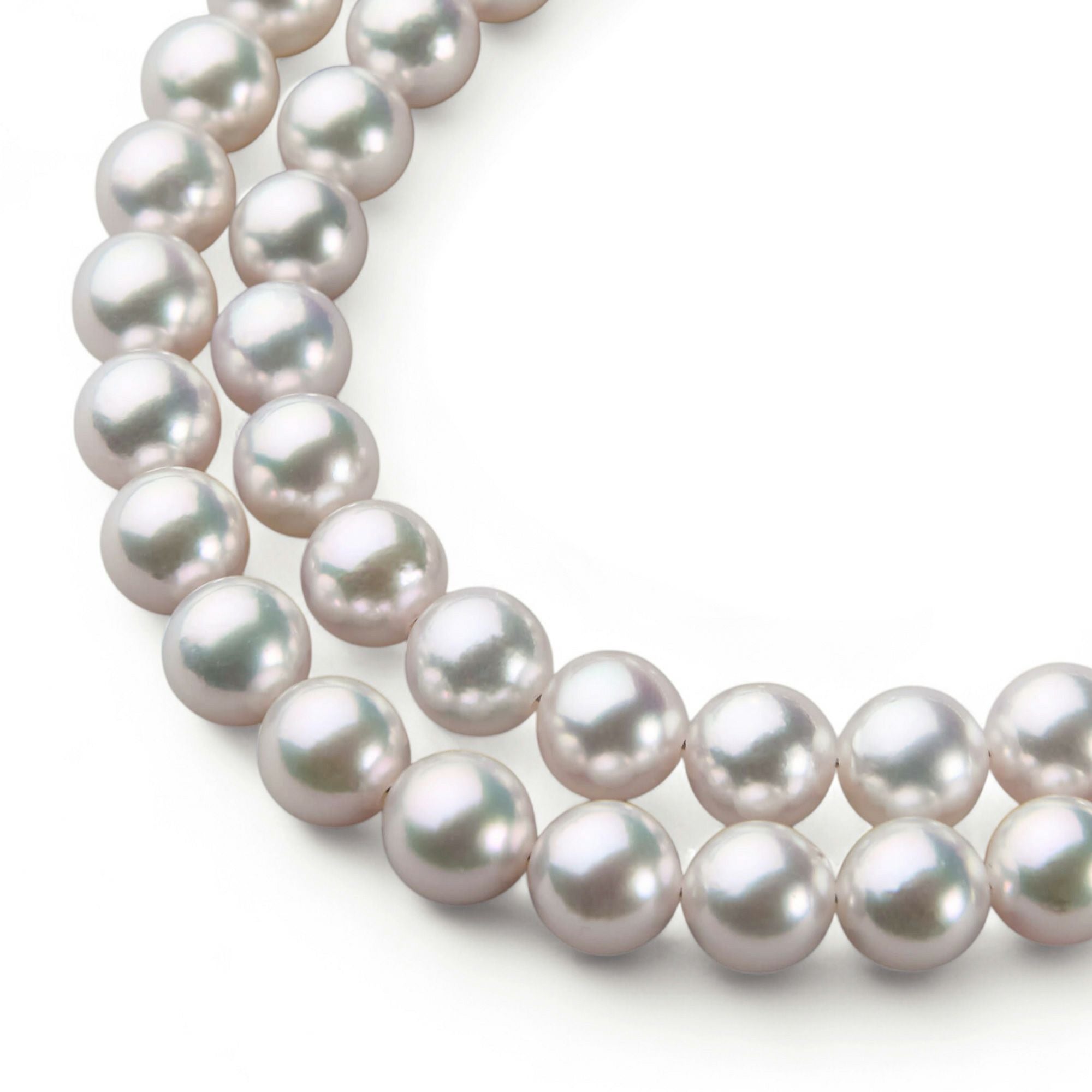 あこや真珠ネックレス サイズ ～7.0mm | WSP（ダブルエスピー）公式サイト