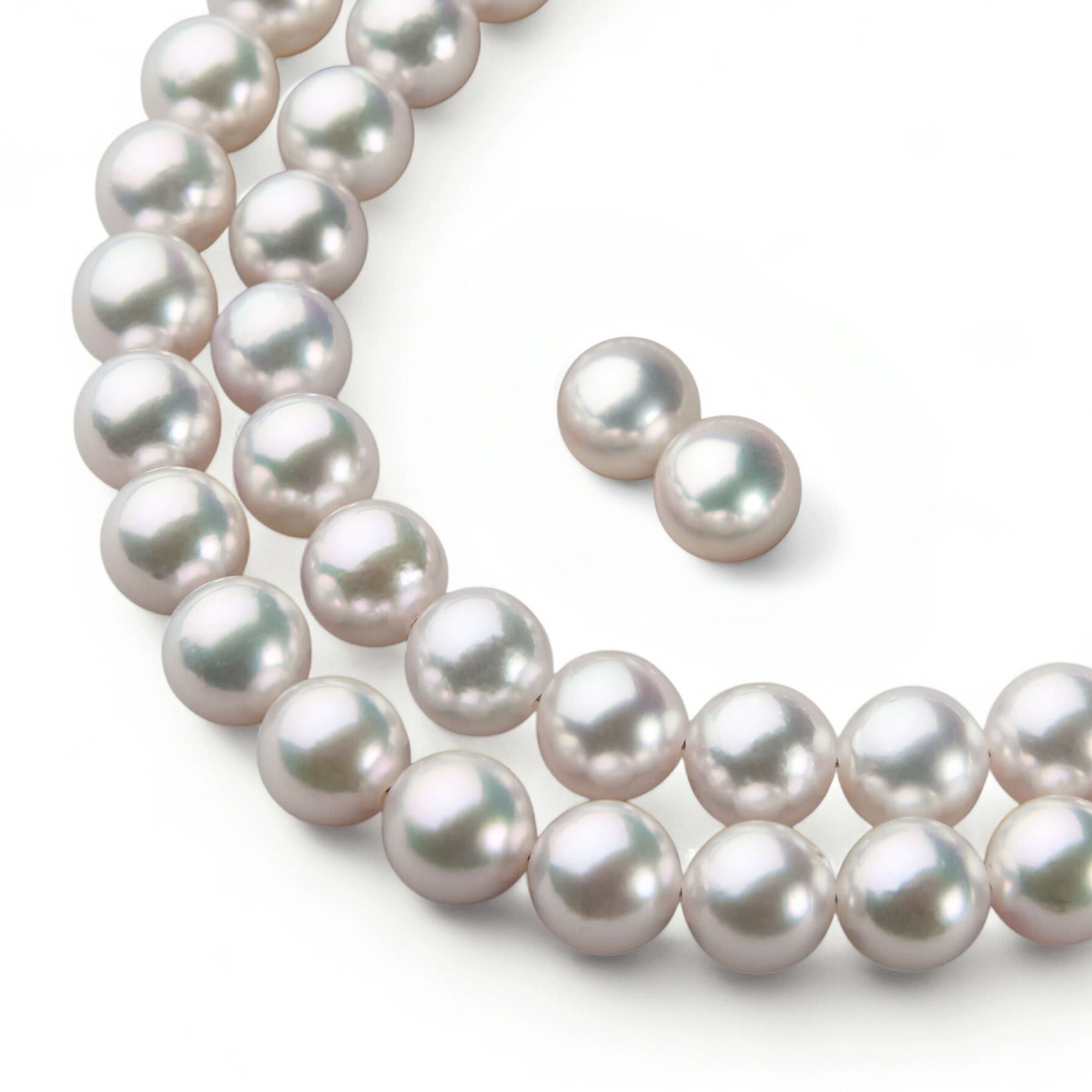 あこや真珠ネックレス サイズ ～7.0mm | WSP（ダブルエスピー）公式サイト