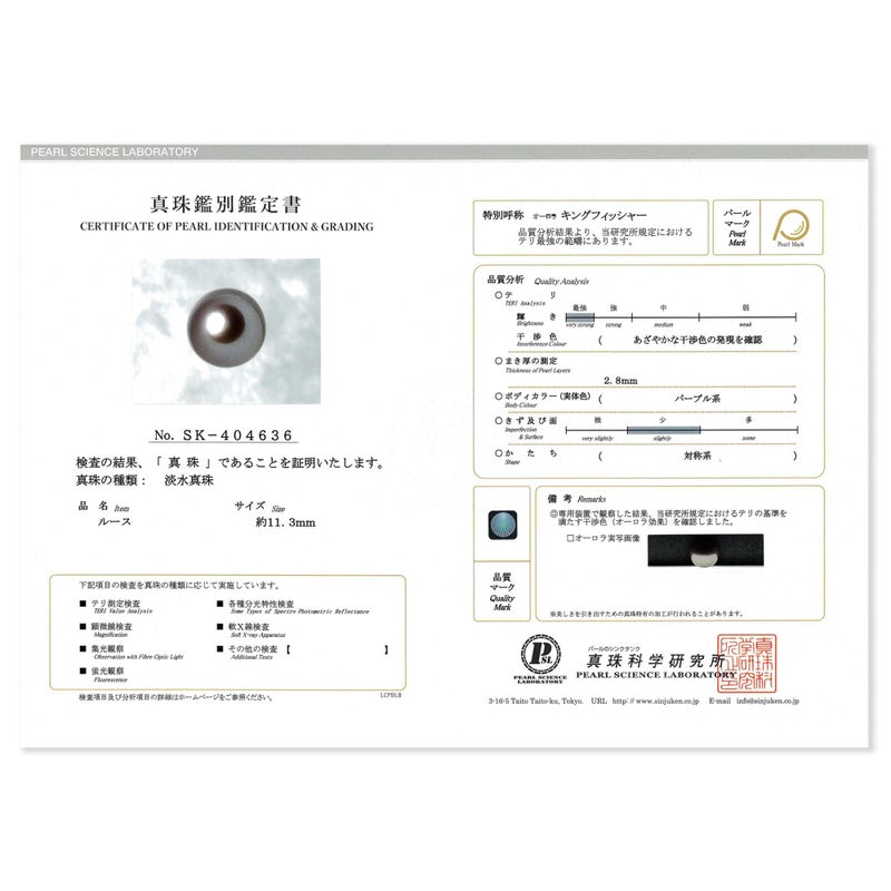 鑑別書画像