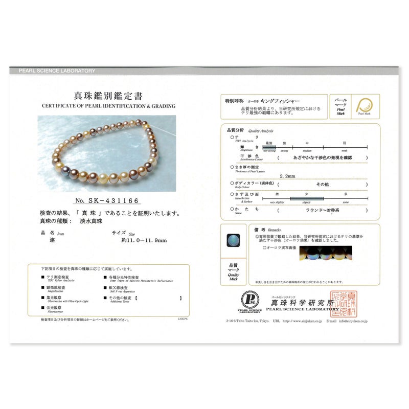 鑑別書画像