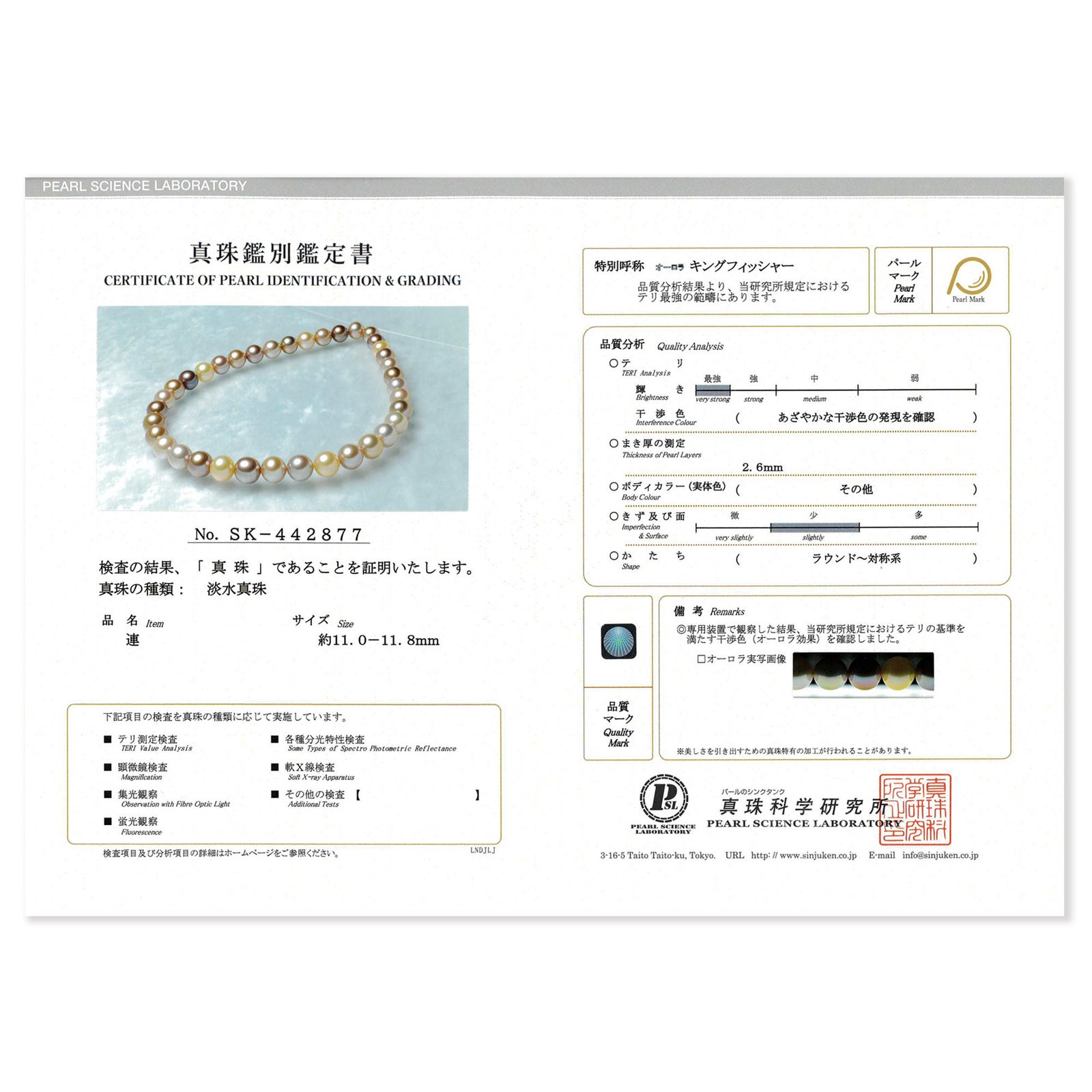 鑑別書画像