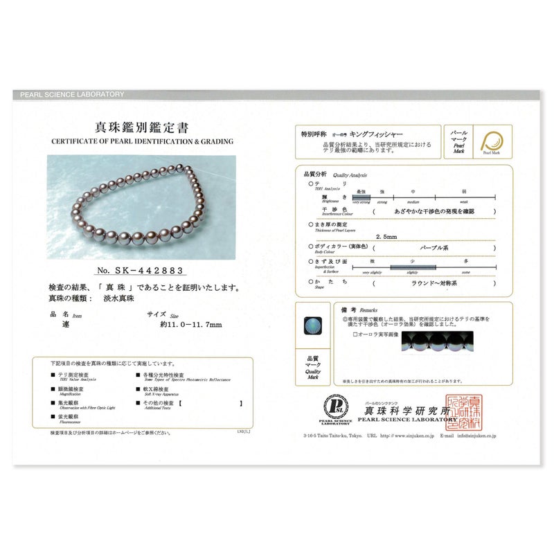 鑑別書