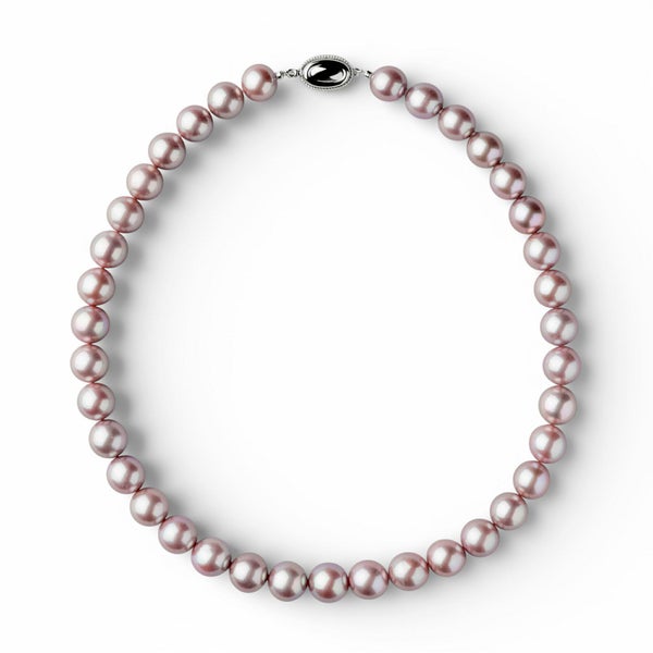 000000027138-01.jpg?size=m&w= 