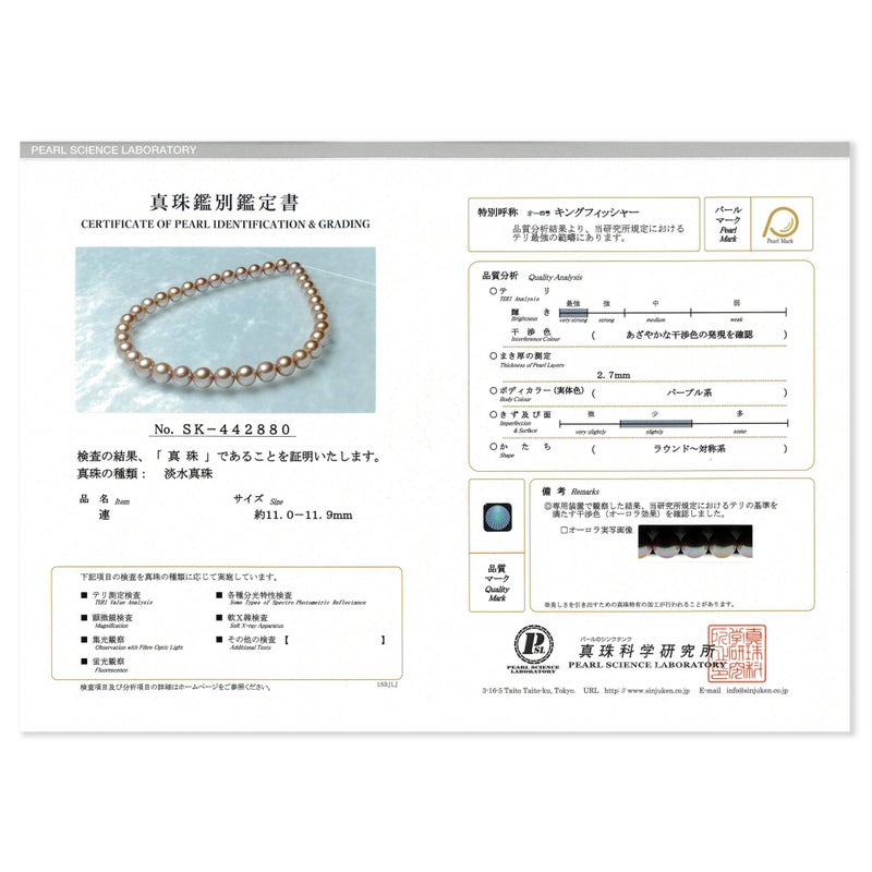 鑑別書