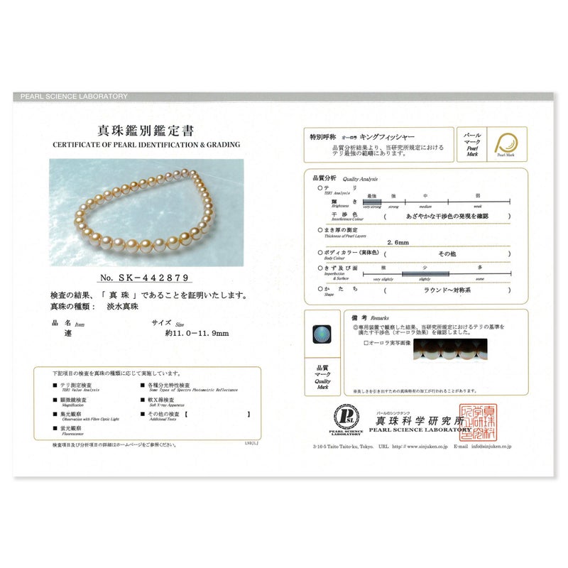 鑑別書